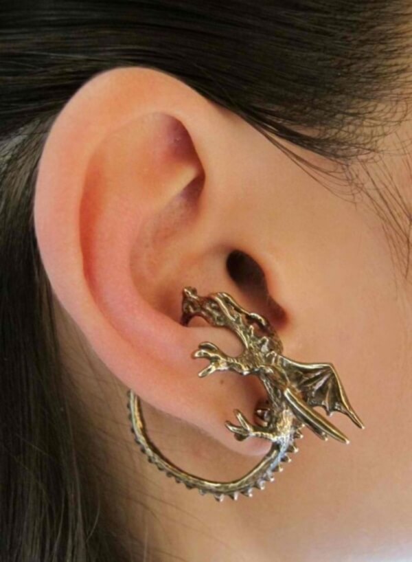 Different Cool Ear Piercings Ideas0021