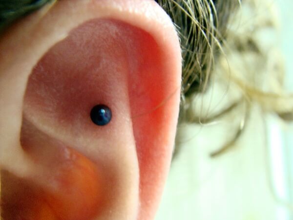 Inner & Outer Conch Piercing (23)