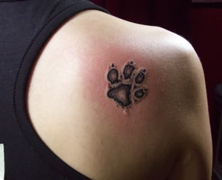 paw-tattoo-designs-68