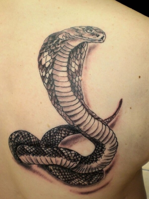 snake tattoo ideas 64