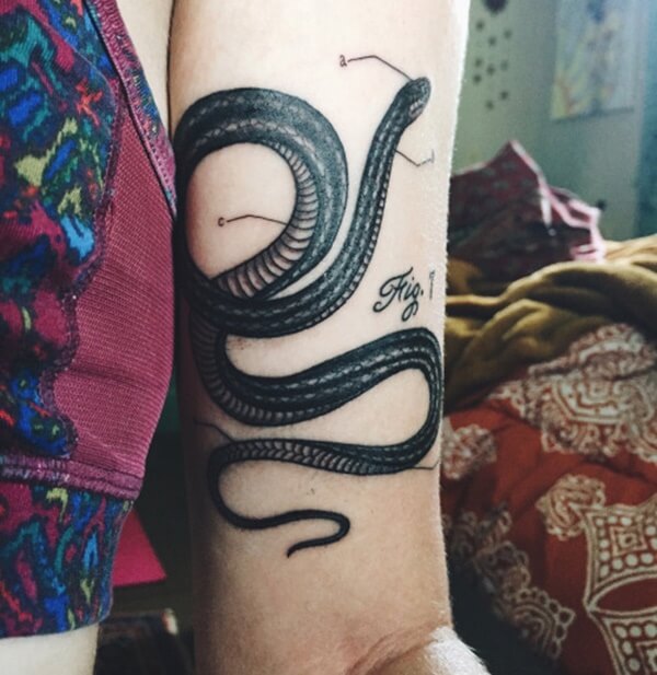 snake tattoo ideas 85